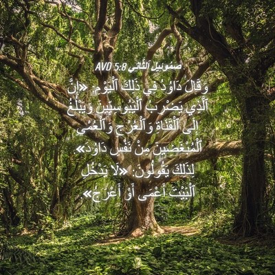 Picture 04 - صَمُوئِيلَ ٱلثَّانِي 5:8 AVD - وَقَالَ دَاوُدُ فِي ذَلِكَ - Bible Verse Picture