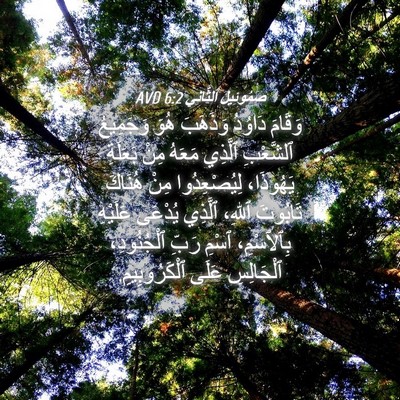 Picture 04 - صَمُوئِيلَ ٱلثَّانِي 6:2 AVD - وَقَامَ دَاوُدُ وَذَهَبَ - Bible Verse Picture