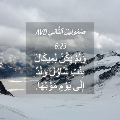 Picture 04 - صَمُوئِيلَ ٱلثَّانِي 6:23 AVD - وَلَمْ يَكُنْ لِمِيكَالَ - Bible Verse Picture
