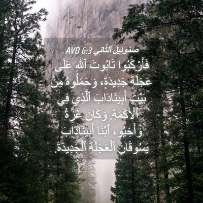 Picture 04 - صَمُوئِيلَ ٱلثَّانِي 6:3 AVD - فَأَرْكَبُوا تَابُوتَ - Bible Verse Picture
