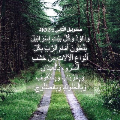 Picture 04 - صَمُوئِيلَ ٱلثَّانِي 6:5 AVD - وَدَاوُدُ وَكُلُّ بَيْتِ - Bible Verse Picture