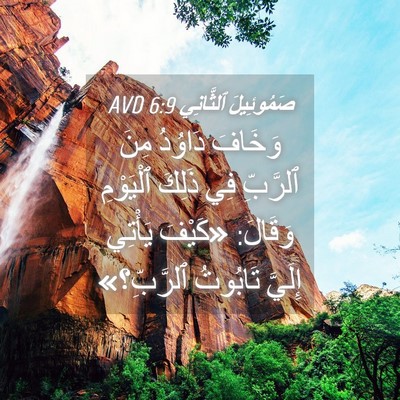 Picture 04 - صَمُوئِيلَ ٱلثَّانِي 6:9 AVD - وَخَافَ دَاوُدُ مِنَ - Bible Verse Picture