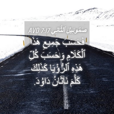 Picture 04 - صَمُوئِيلَ ٱلثَّانِي 7:17 AVD - فَحَسَبَ جَمِيعِ هَذَا - Bible Verse Picture