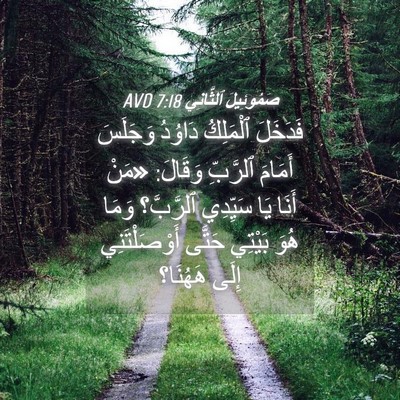 Picture 04 - صَمُوئِيلَ ٱلثَّانِي 7:18 AVD - فَدَخَلَ ٱلْمَلِكُ - Bible Verse Picture