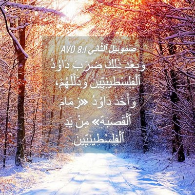 Picture 04 - صَمُوئِيلَ ٱلثَّانِي 8:1 AVD - وَبَعْدَ ذَلِكَ ضَرَبَ - Bible Verse Picture