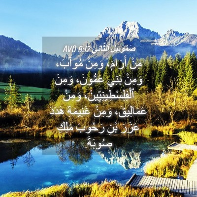Picture 04 - صَمُوئِيلَ ٱلثَّانِي 8:12 AVD - مِنْ أَرَامَ، وَمِنْ - Bible Verse Picture