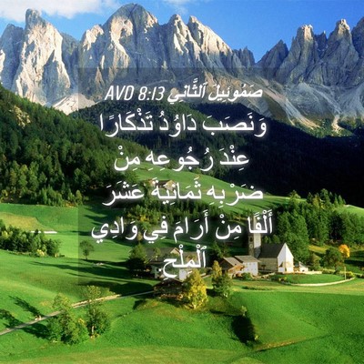 Picture 04 - صَمُوئِيلَ ٱلثَّانِي 8:13 AVD - وَنَصَبَ دَاوُدُ - Bible Verse Picture