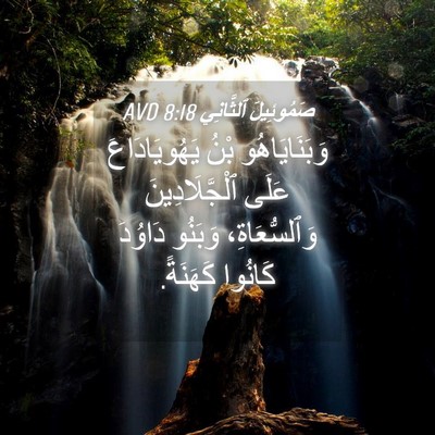 Picture 04 - صَمُوئِيلَ ٱلثَّانِي 8:18 AVD - وَبَنَايَاهُو بْنُ - Bible Verse Picture