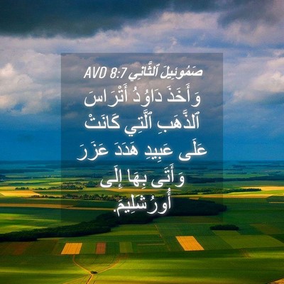 Picture 04 - صَمُوئِيلَ ٱلثَّانِي 8:7 AVD - وَأَخَذَ دَاوُدُ - Bible Verse Picture