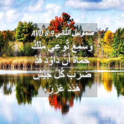 Picture 04 - صَمُوئِيلَ ٱلثَّانِي 8:9 AVD - وَسَمِعَ تُوعِي مَلِكُ - Bible Verse Picture