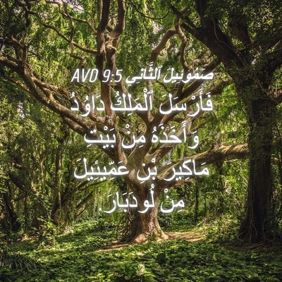 Picture 04 - صَمُوئِيلَ ٱلثَّانِي 9:5 AVD - فَأَرْسَلَ ٱلْمَلِكُ - Bible Verse Picture