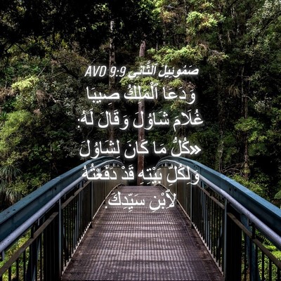 Picture 04 - صَمُوئِيلَ ٱلثَّانِي 9:9 AVD - وَدَعَا ٱلْمَلِكُ صِيبَا - Bible Verse Picture