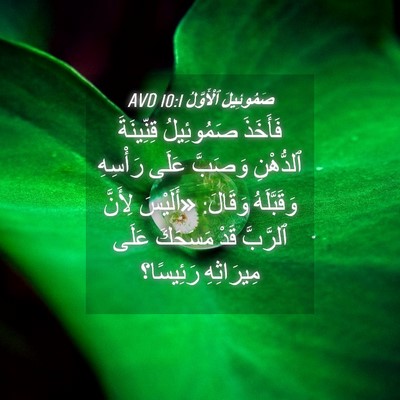 Picture 04 - صَمُوئِيلَ ٱلْأَوَّلُ 10:1 AVD - فَأَخَذَ صَمُوئِيلُ - Bible Verse Picture