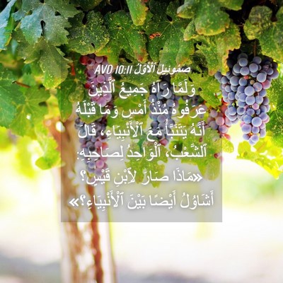 Picture 04 - صَمُوئِيلَ ٱلْأَوَّلُ 10:11 AVD - وَلَمَّا رَآهُ جَمِيعُ - Bible Verse Picture