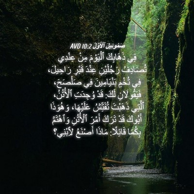 Picture 04 - صَمُوئِيلَ ٱلْأَوَّلُ 10:2 AVD - فِي ذَهَابِكَ ٱلْيَوْمَ - Bible Verse Picture