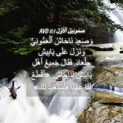 Picture 04 - صَمُوئِيلَ ٱلْأَوَّلُ 11:1 AVD - وَصَعِدَ نَاحَاشُ - Bible Verse Picture