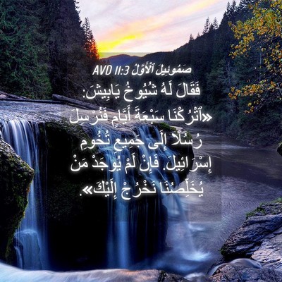 Picture 04 - صَمُوئِيلَ ٱلْأَوَّلُ 11:3 AVD - فَقَالَ لَهُ شُيُوخُ - Bible Verse Picture