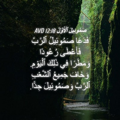 Picture 04 - صَمُوئِيلَ ٱلْأَوَّلُ 12:18 AVD - فَدَعَا صَمُوئِيلُ - Bible Verse Picture