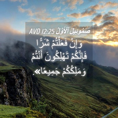 Picture 04 - صَمُوئِيلَ ٱلْأَوَّلُ 12:25 AVD - وَإِنْ فَعَلْتُمْ شَرًّا - Bible Verse Picture