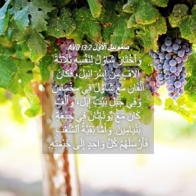 Picture 04 - صَمُوئِيلَ ٱلْأَوَّلُ 13:2 AVD - وَٱخْتَارَ شَاوُلُ - Bible Verse Picture