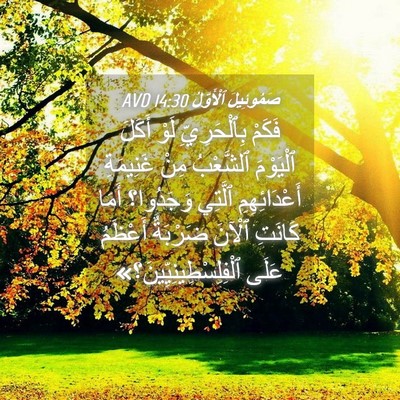 Picture 04 - صَمُوئِيلَ ٱلْأَوَّلُ 14:30 AVD - فَكَمْ بِٱلْحَرِيِّ لَوْ - Bible Verse Picture