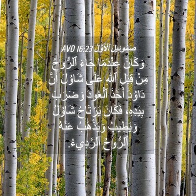 Picture 04 - صَمُوئِيلَ ٱلْأَوَّلُ 16:23 AVD - وَكَانَ عِنْدَمَا جَاءَ - Bible Verse Picture