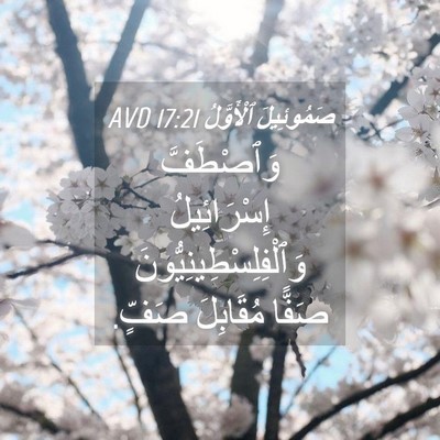 Picture 04 - صَمُوئِيلَ ٱلْأَوَّلُ 17:21 AVD - وَٱصْطَفَّ إِسْرَائِيلُ - Bible Verse Picture