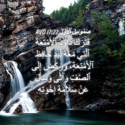 Picture 04 - صَمُوئِيلَ ٱلْأَوَّلُ 17:22 AVD - فَتَرَكَ دَاوُدُ - Bible Verse Picture