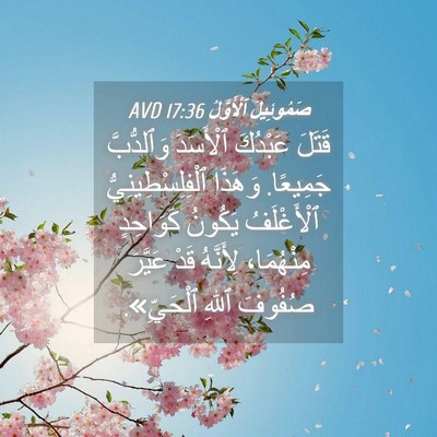 Picture 04 - صَمُوئِيلَ ٱلْأَوَّلُ 17:36 AVD - قَتَلَ عَبْدُكَ ٱلْأَسَدَ - Bible Verse Picture
