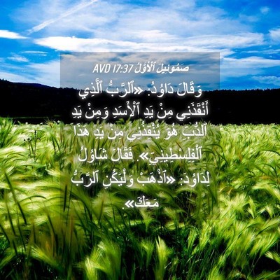 Picture 04 - صَمُوئِيلَ ٱلْأَوَّلُ 17:37 AVD - وَقَالَ دَاوُدُ: «ٱلرَّبُّ - Bible Verse Picture