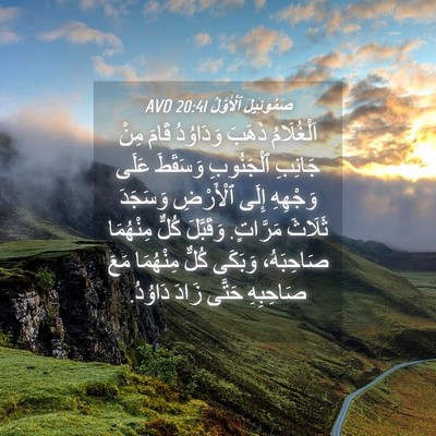Picture 04 - صَمُوئِيلَ ٱلْأَوَّلُ 20:41 AVD - اَلْغُلَامُ ذَهَبَ - Bible Verse Picture
