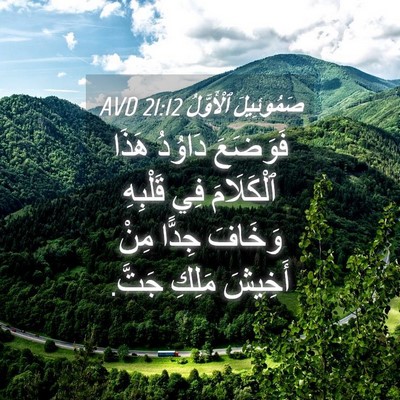 Picture 04 - صَمُوئِيلَ ٱلْأَوَّلُ 21:12 AVD - فَوَضَعَ دَاوُدُ هَذَا - Bible Verse Picture