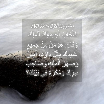 Picture 04 - صَمُوئِيلَ ٱلْأَوَّلُ 22:14 AVD - فَأَجَابَ أَخِيمَالِكُ - Bible Verse Picture