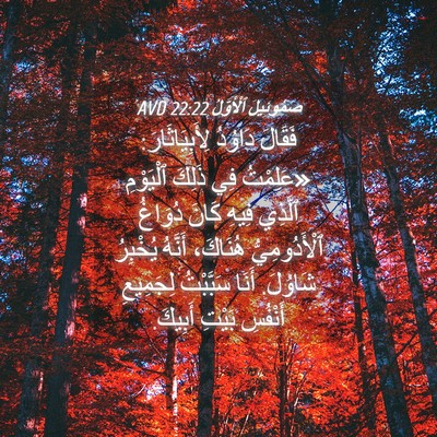 Picture 04 - صَمُوئِيلَ ٱلْأَوَّلُ 22:22 AVD - فَقَالَ دَاوُدُ - Bible Verse Picture