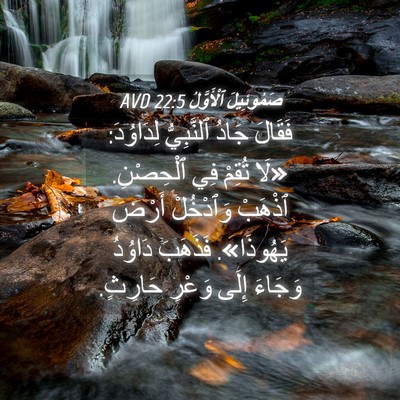 Picture 04 - صَمُوئِيلَ ٱلْأَوَّلُ 22:5 AVD - فَقَالَ جَادُ ٱلنَّبِيُّ - Bible Verse Picture