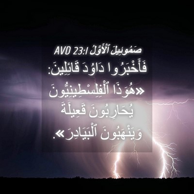 Picture 04 - صَمُوئِيلَ ٱلْأَوَّلُ 23:1 AVD - فَأَخْبَرُوا دَاوُدَ - Bible Verse Picture