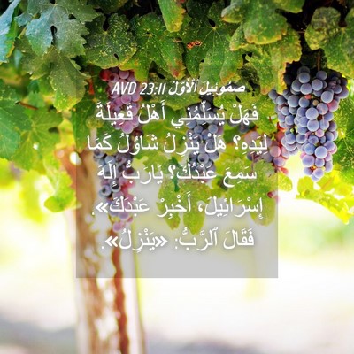 Picture 04 - صَمُوئِيلَ ٱلْأَوَّلُ 23:11 AVD - فَهَلْ يُسَلِّمُنِي - Bible Verse Picture
