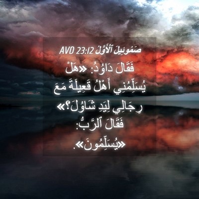Picture 04 - صَمُوئِيلَ ٱلْأَوَّلُ 23:12 AVD - فَقَالَ دَاوُدُ: «هَلْ - Bible Verse Picture