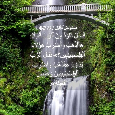Picture 04 - صَمُوئِيلَ ٱلْأَوَّلُ 23:2 AVD - فَسَأَلَ دَاوُدُ مِنَ - Bible Verse Picture