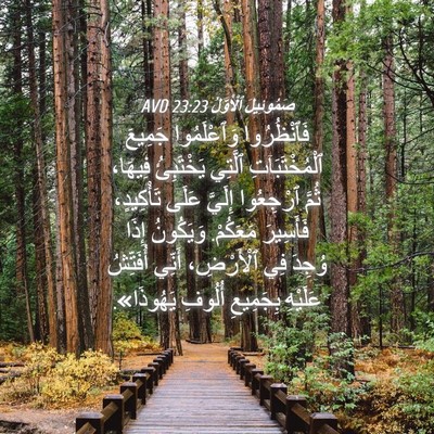 Picture 04 - صَمُوئِيلَ ٱلْأَوَّلُ 23:23 AVD - فَٱنْظُرُوا وَٱعْلَمُوا - Bible Verse Picture