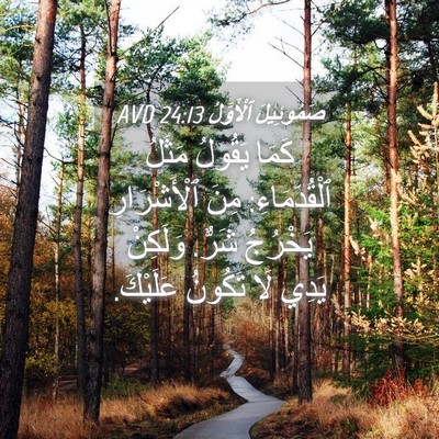 Picture 04 - صَمُوئِيلَ ٱلْأَوَّلُ 24:13 AVD - كَمَا يَقُولُ مَثَلُ - Bible Verse Picture