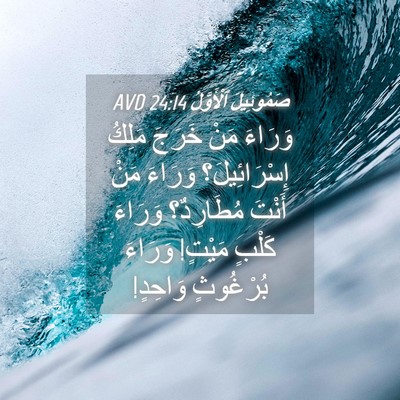 Picture 04 - صَمُوئِيلَ ٱلْأَوَّلُ 24:14 AVD - وَرَاءَ مَنْ خَرَجَ مَلِكُ - Bible Verse Picture