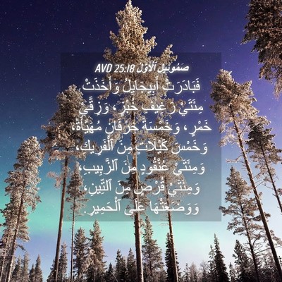 Picture 04 - صَمُوئِيلَ ٱلْأَوَّلُ 25:18 AVD - فَبَادَرَتْ أَبِيجَايِلُ - Bible Verse Picture