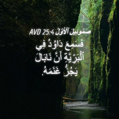 Picture 04 - صَمُوئِيلَ ٱلْأَوَّلُ 25:4 AVD - فَسَمِعَ دَاوُدُ فِي - Bible Verse Picture