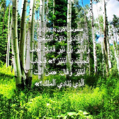 Picture 04 - صَمُوئِيلَ ٱلْأَوَّلُ 26:14 AVD - وَنَادَى دَاوُدُ - Bible Verse Picture