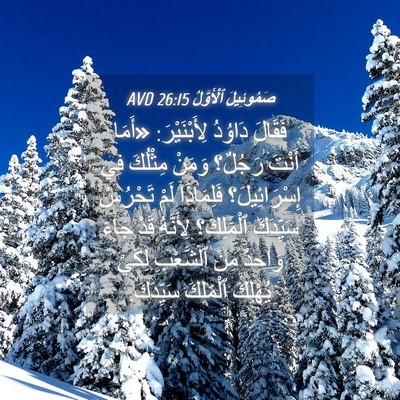 Picture 04 - صَمُوئِيلَ ٱلْأَوَّلُ 26:15 AVD - فَقَالَ دَاوُدُ - Bible Verse Picture