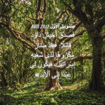 Picture 04 - صَمُوئِيلَ ٱلْأَوَّلُ 27:12 AVD - فَصَدَّقَ أَخِيشُ دَاوُدَ - Bible Verse Picture