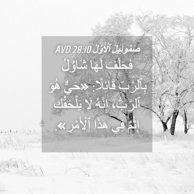 Picture 04 - صَمُوئِيلَ ٱلْأَوَّلُ 28:10 AVD - فَحَلَفَ لَهَا شَاوُلُ - Bible Verse Picture