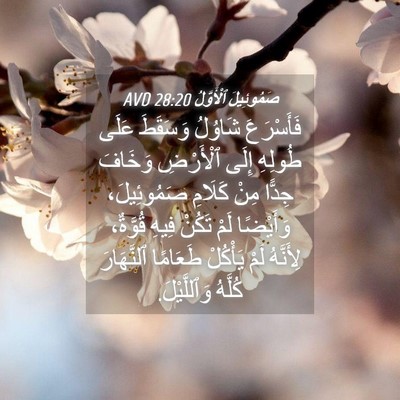 Picture 04 - صَمُوئِيلَ ٱلْأَوَّلُ 28:20 AVD - فَأَسْرَعَ شَاوُلُ - Bible Verse Picture