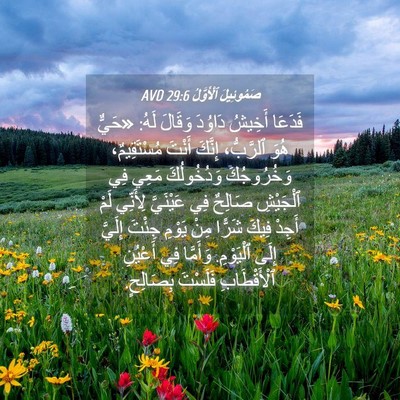 Picture 04 - صَمُوئِيلَ ٱلْأَوَّلُ 29:6 AVD - فَدَعَا أَخِيشُ دَاوُدَ - Bible Verse Picture